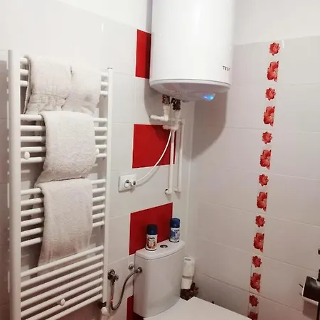 Apartament Ruth *